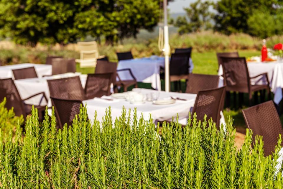 Agriturismo & Cantina Tenuta Casteani Ribolla Buitenkant foto