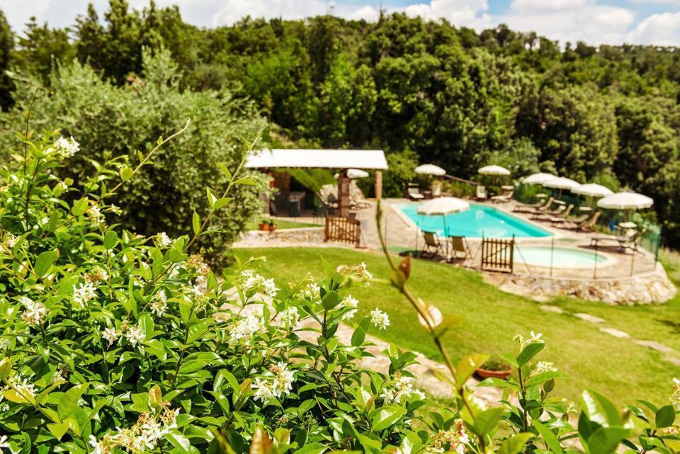 Agriturismo & Cantina Tenuta Casteani Ribolla Buitenkant foto