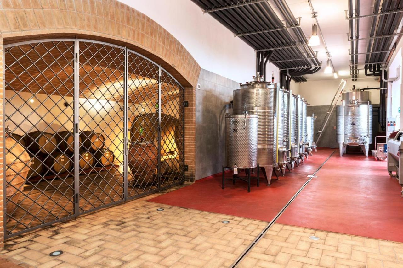 Agriturismo & Cantina Tenuta Casteani Ribolla Buitenkant foto